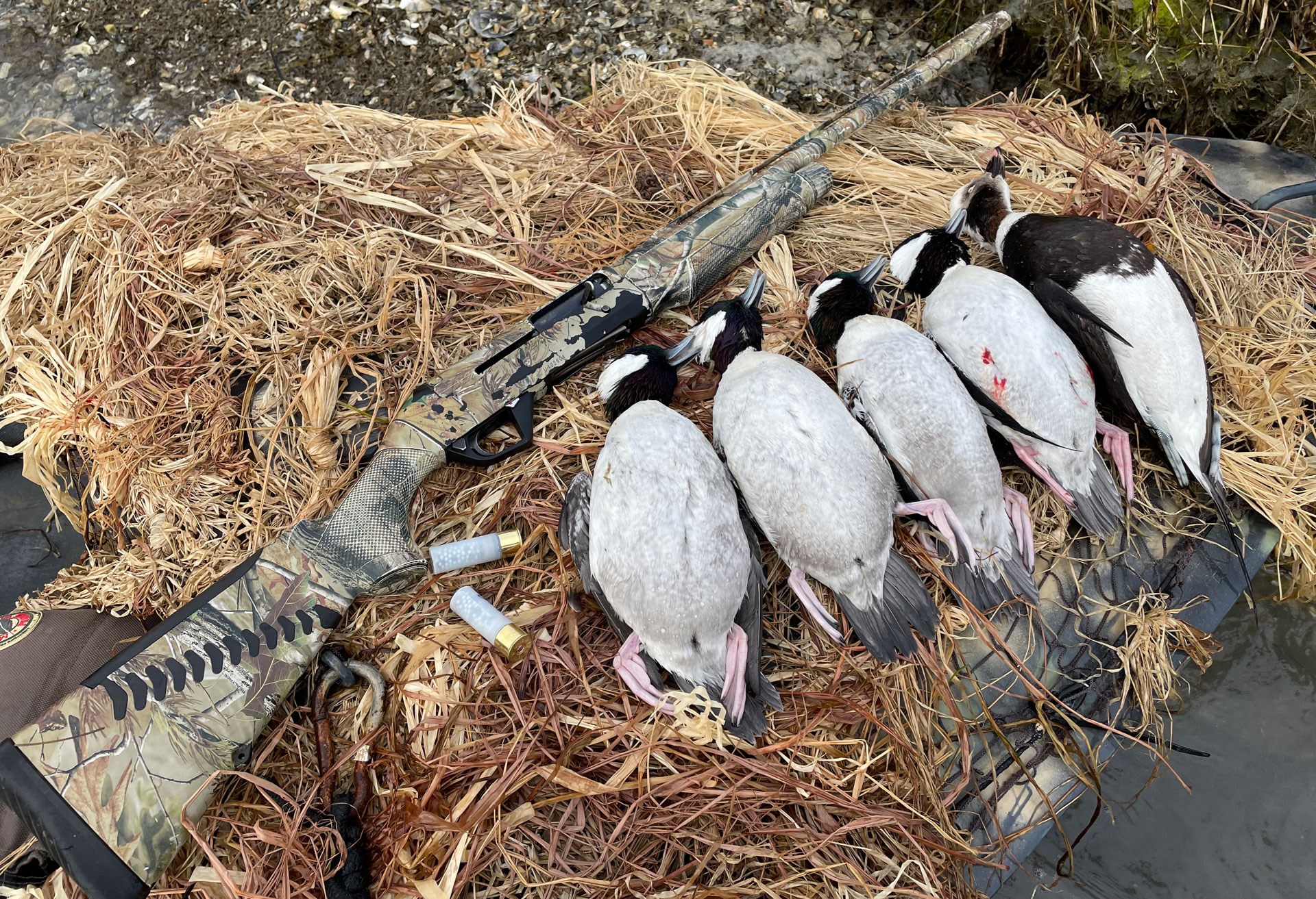 Shotgun with birds