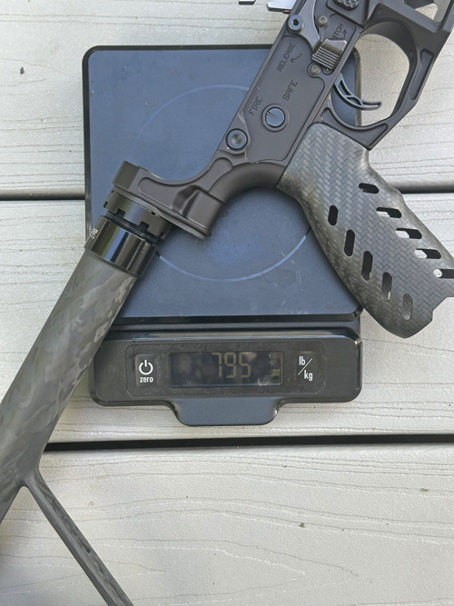 Gun on scale