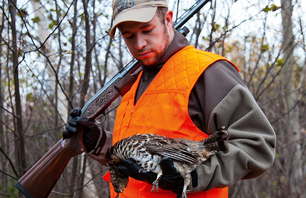 Male hunter carrying grouse while hunting in Maine.