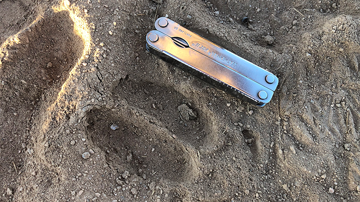 Multi-tool next to animal track