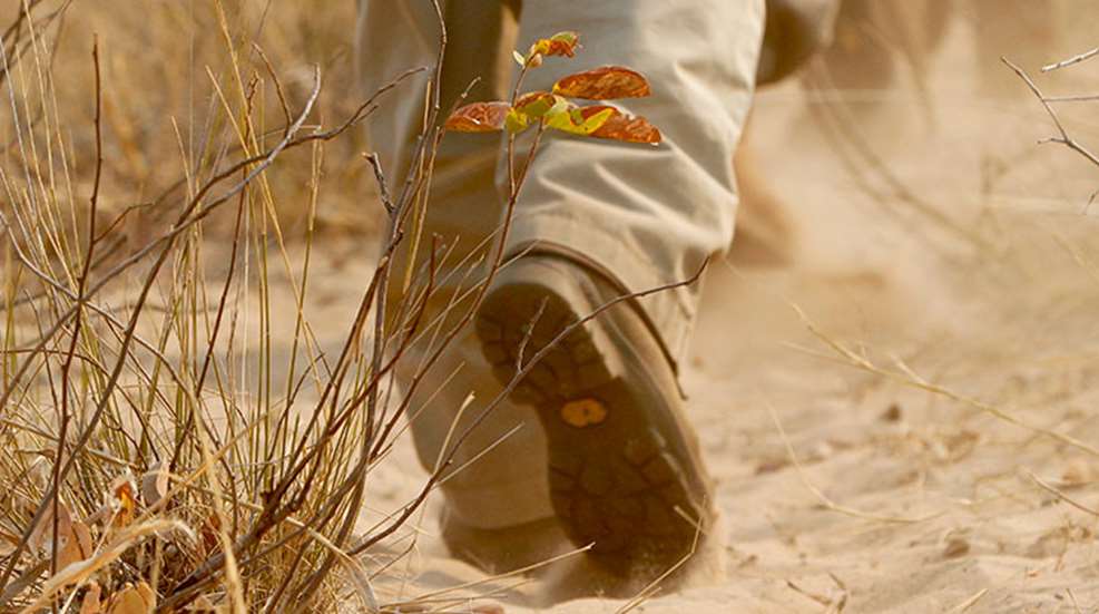 white_bushman_f.jpg