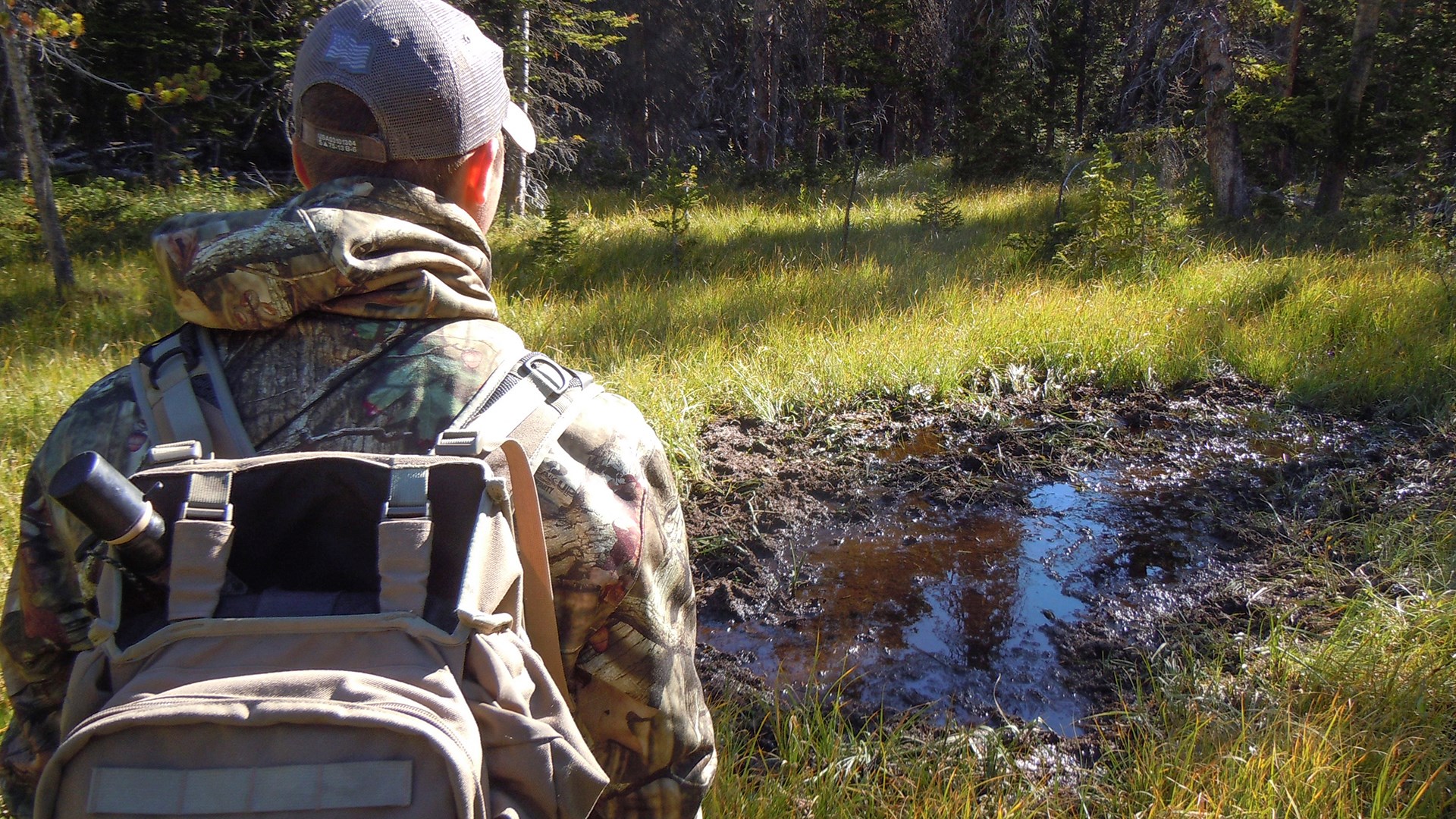 Elk Wallow