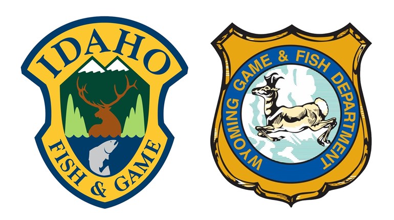 Game Departments Warning Hunters About AI-Generated Misinformation | An Official Journal Of The NRA