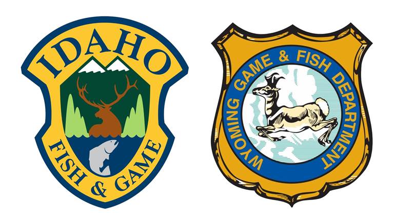 Game Departments Warning Hunters About AI-Generated Misinformation | An Official Journal Of The NRA