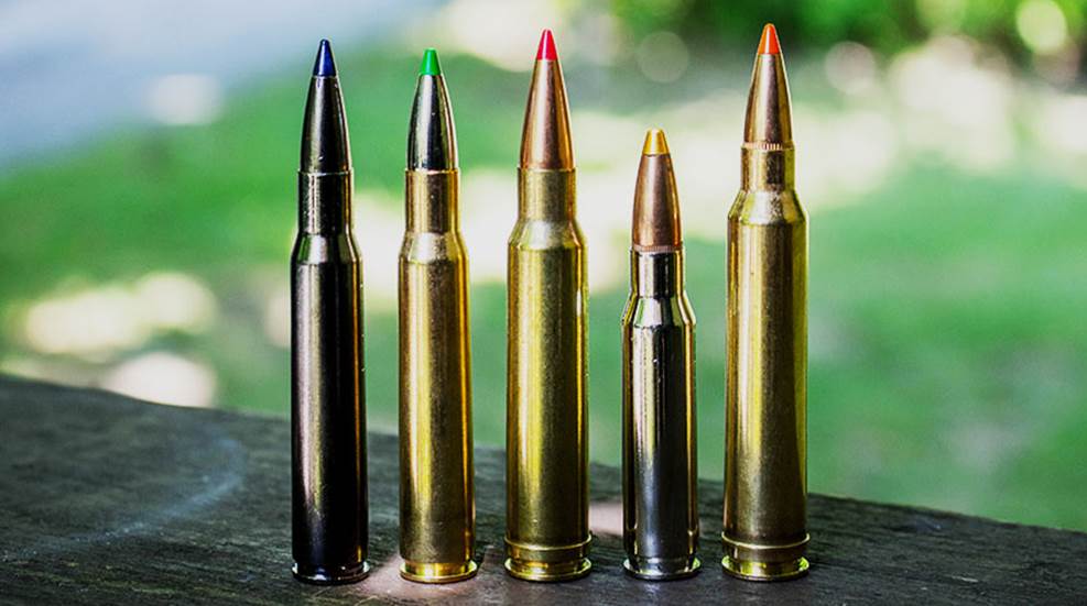 Top 5 Deer Bullets for 2018 | An Official Journal Of The NRA