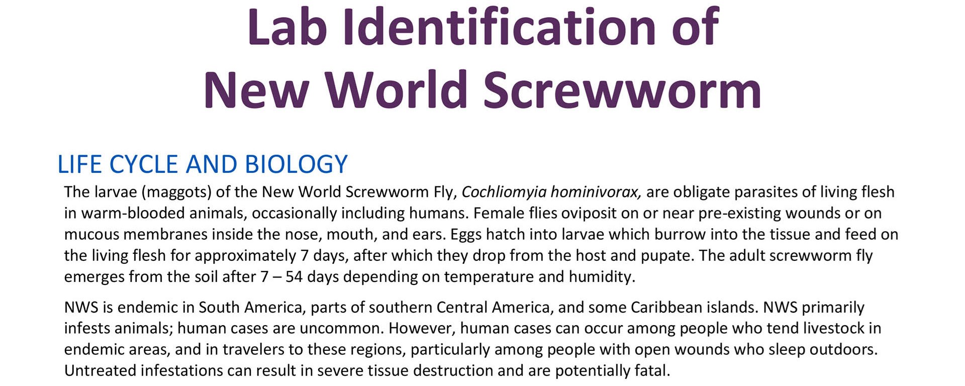 New World Screwworm ID