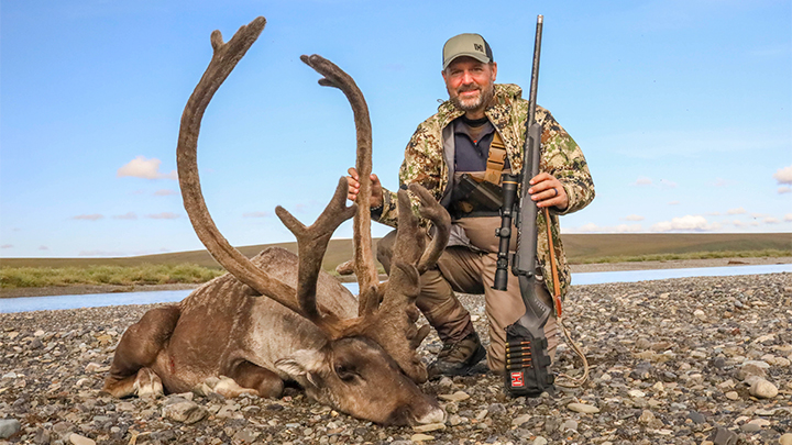 Male Western Arctic Caribou