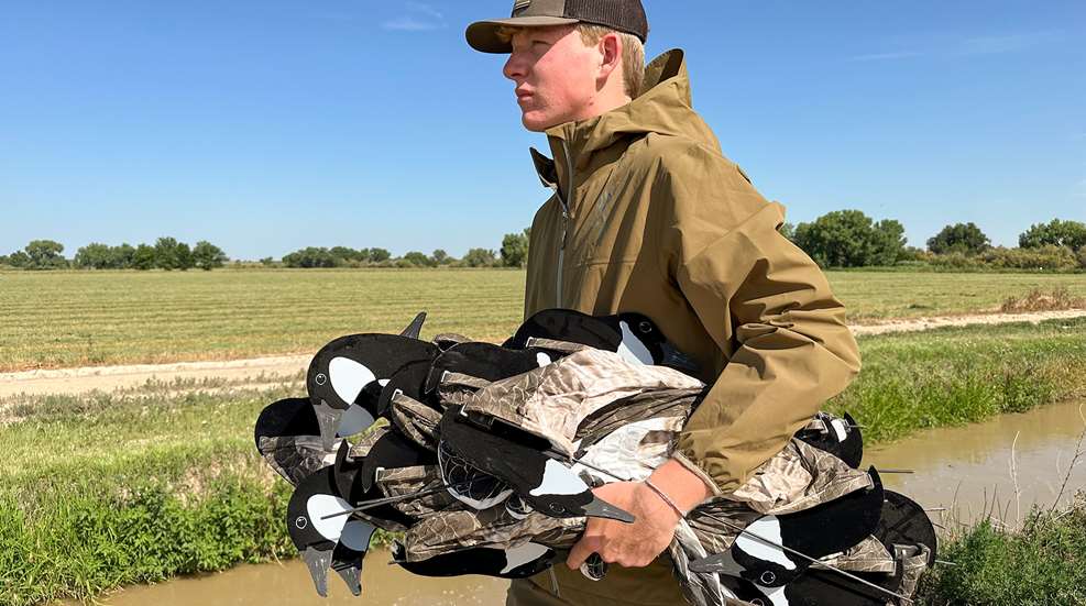 Decoys For Goose Hunters Lead