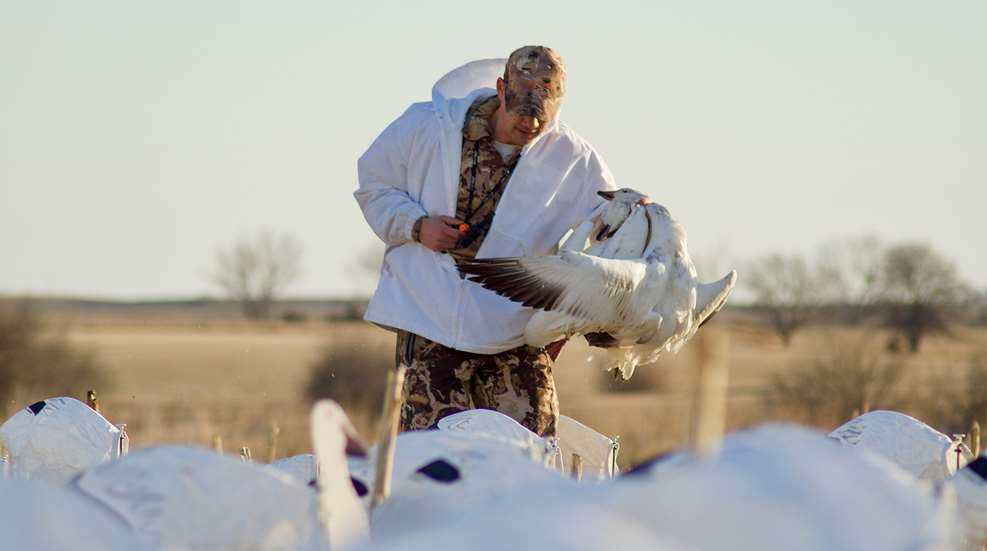 KH Pick A Snow Goose Guide Lead