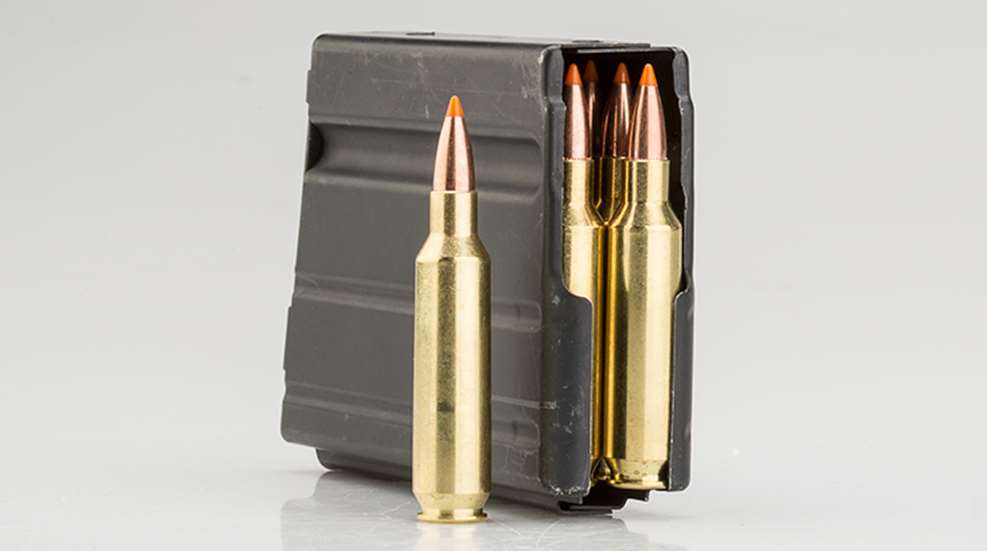 22_nosler_hw_f.jpg