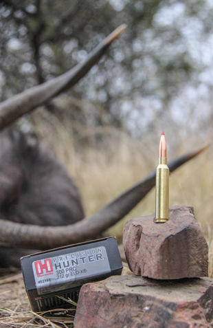 300 PRC box and cartridges in front of horns.