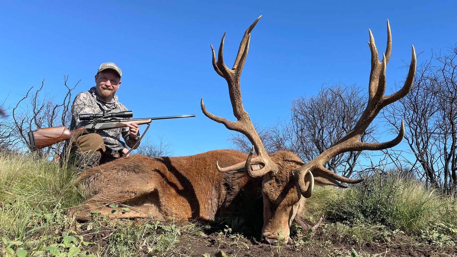 Draper with stag
