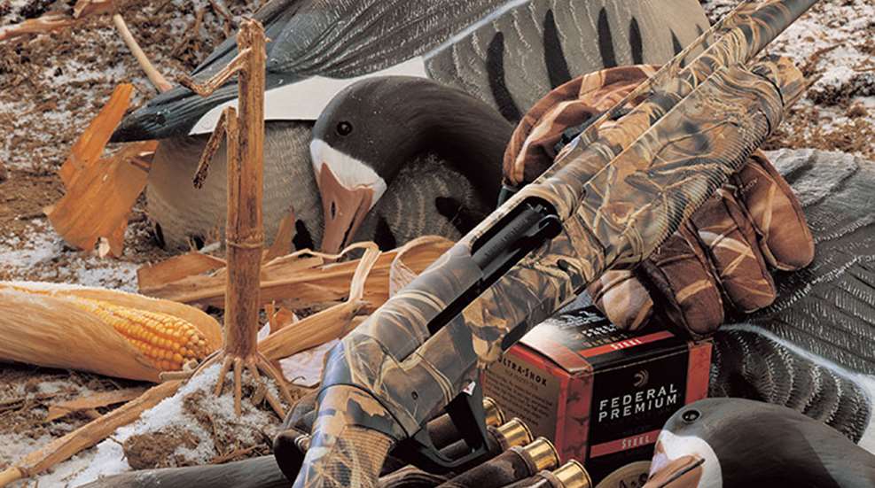 ode_super_black_eagle_f.jpg