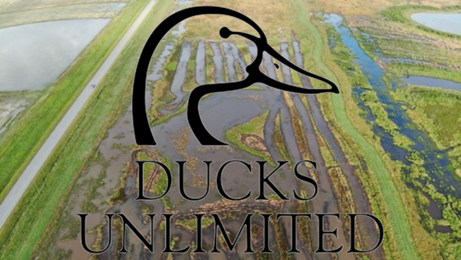 Chevron DU Louisiana Wetland Conservation With Logo2