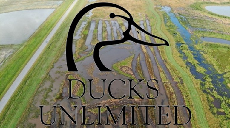 Chevron Commits $450,000 Wetland and Mottled Duck Conservation | An Official Journal Of The NRA