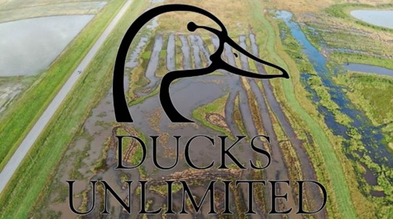 Chevron Commits $450,000 Wetland and Mottled Duck Conservation | An Official Journal Of The NRA