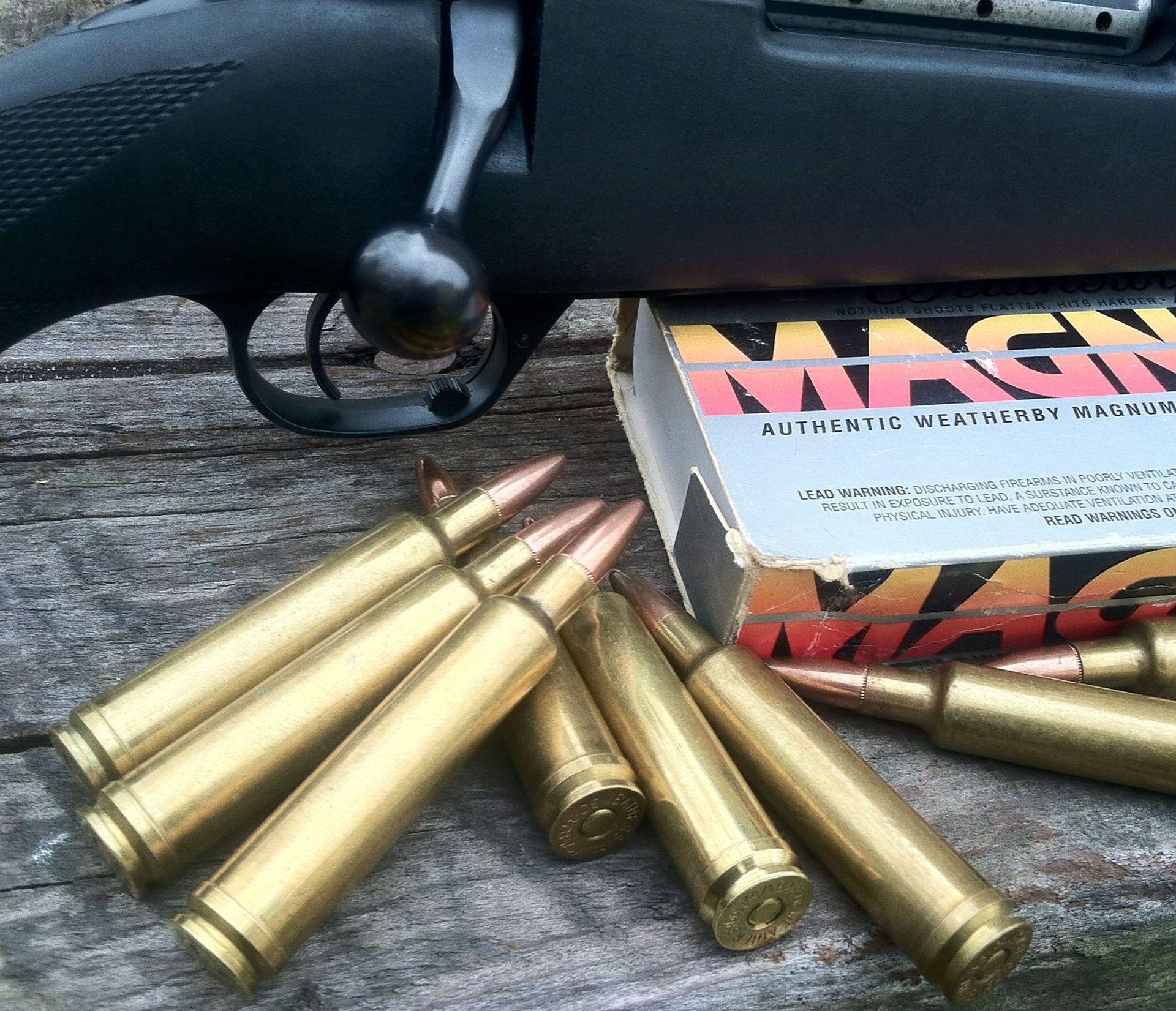 .30-378 Wby Magnum