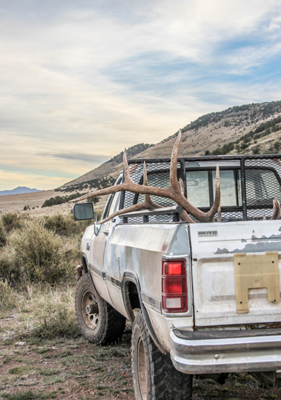Antlers in truck