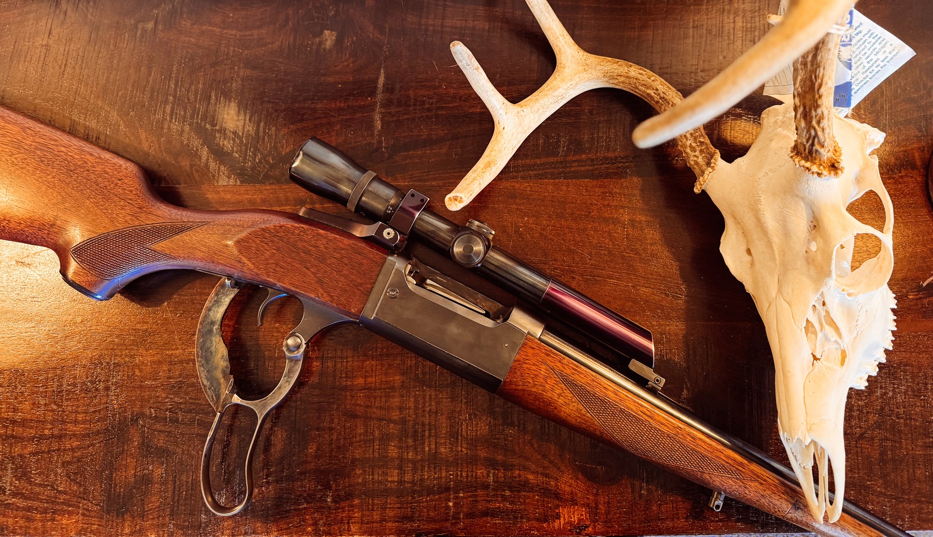 Savage 99 by deer skull