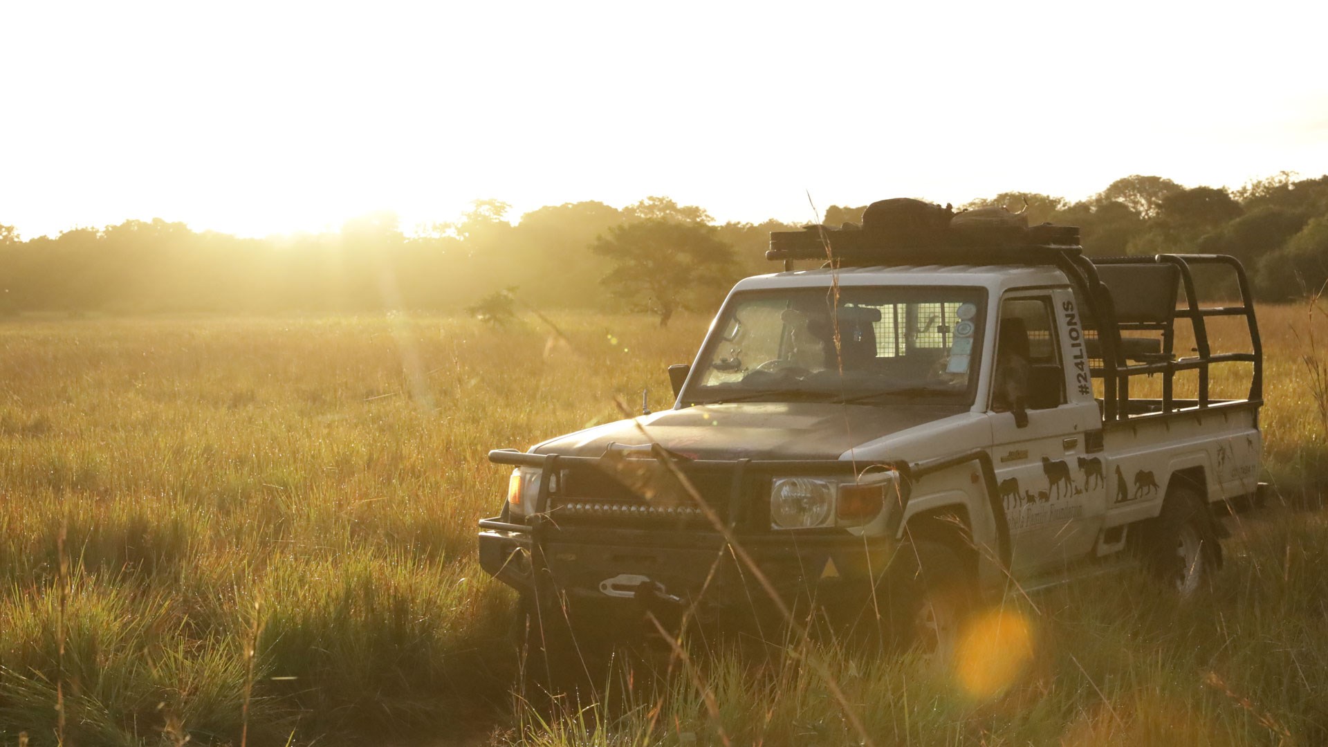 Land cruiser in the sun