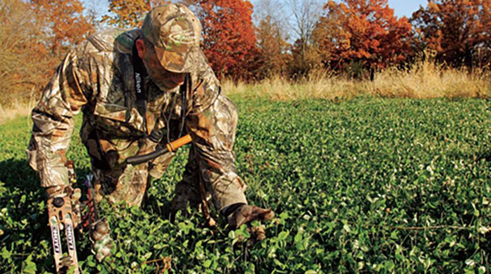 miniaturefoodplots_lead.jpg