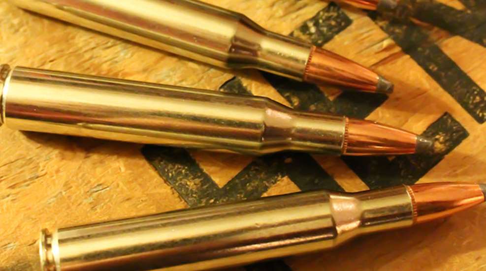 top_whitetail_cartridges_f.jpg