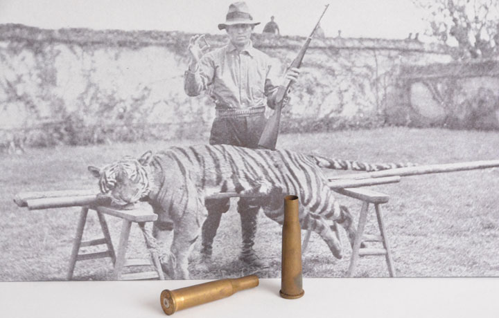 .22 Savage Hi-Power cases next to a black and white picture of a hunter holding the cartridge near a downed tiger.