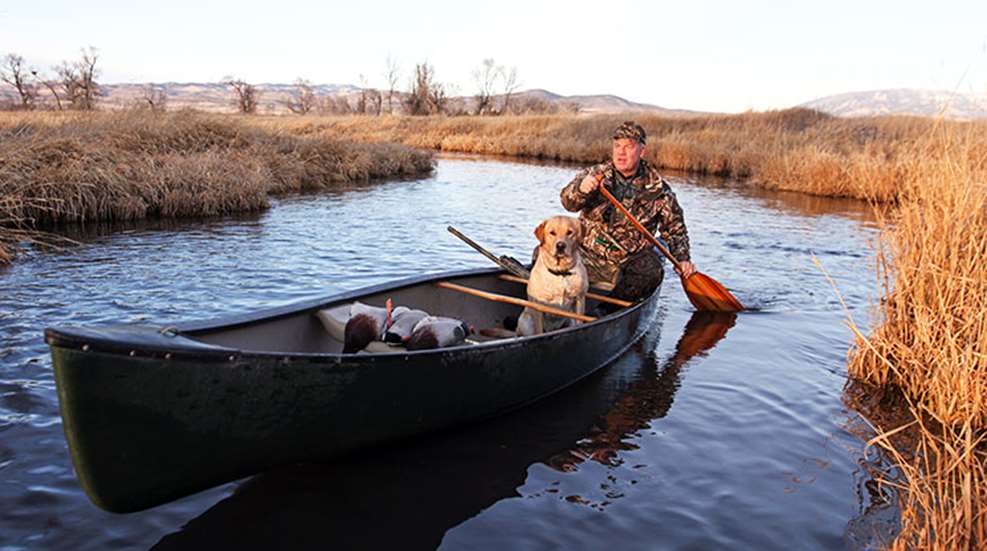 know-how-smallwaterducks_lead.jpg