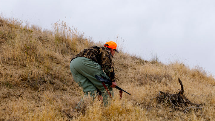 Sneaking around a hillside