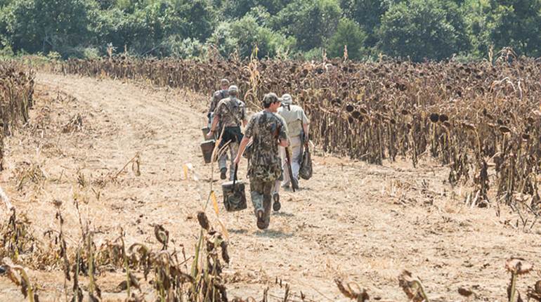 As the Doves Fly | An Official Journal Of The NRA