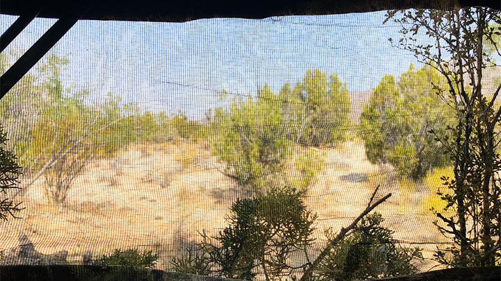 View from window of inside of Primos Double Bull ground blind