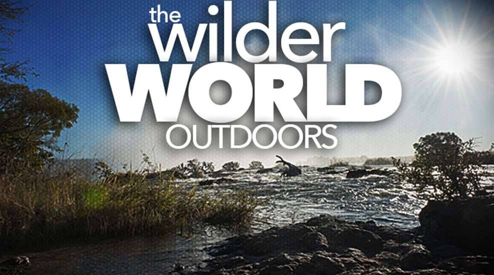 wilder_ah2015_fs.jpg (3)