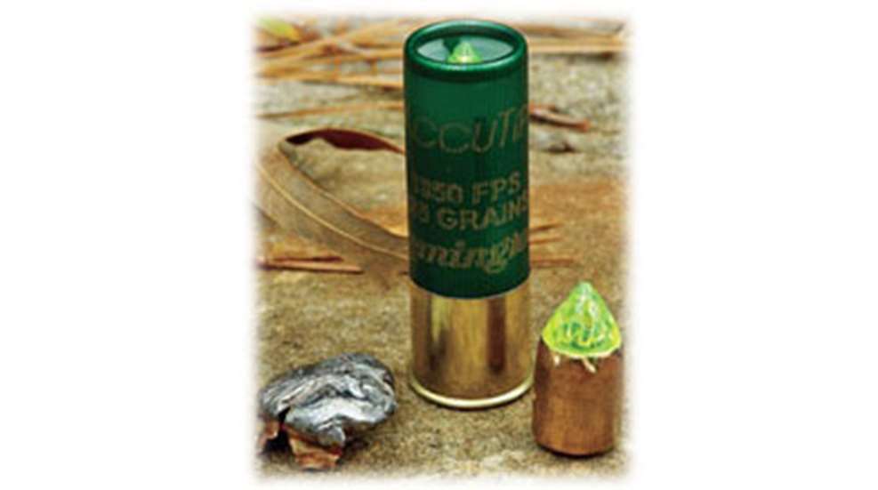 2009529-remaccuslug_fs.jpg