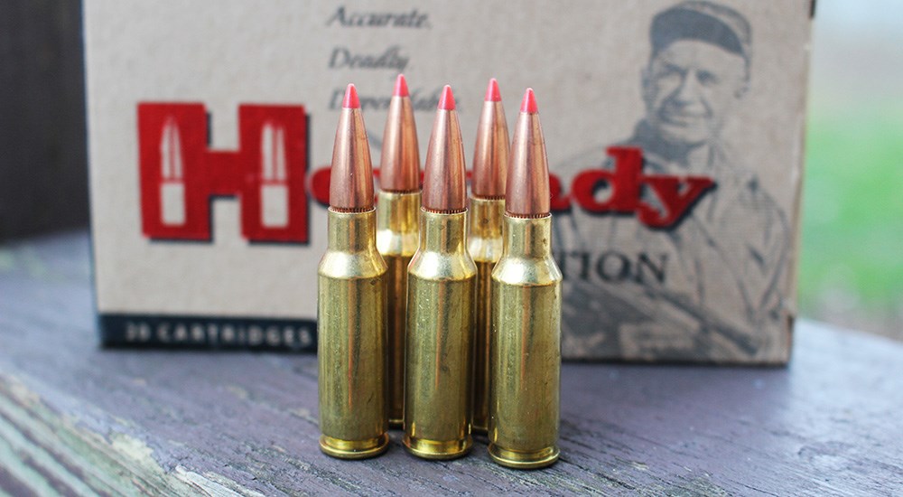 Hornady 6.5 Grendel ammunition cartridges.
