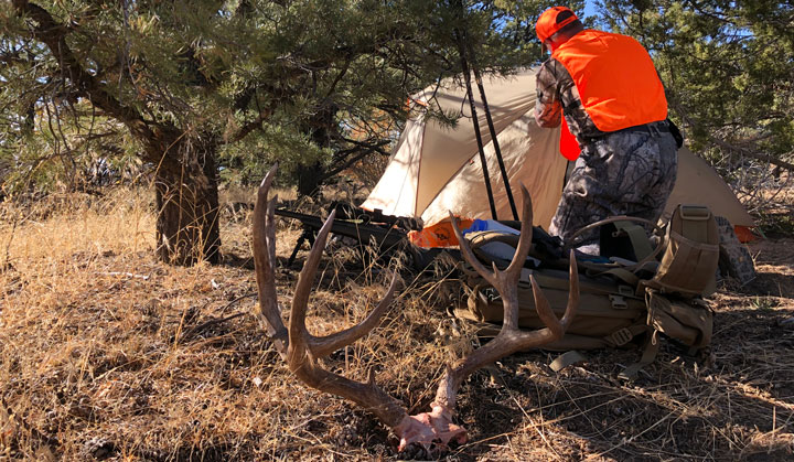 Hunter in backcountry deer camp with a skullcapped rack on the ground