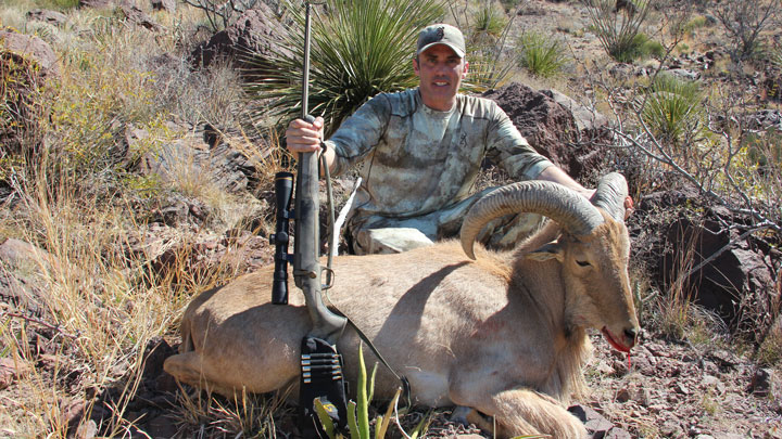 Hunter with rifle behind a dead Aoudad