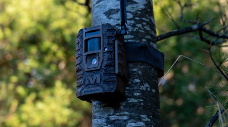 First Look: Muddy Mitigator 2.0 Cellular Trail Camera | An Official Journal Of The NRA