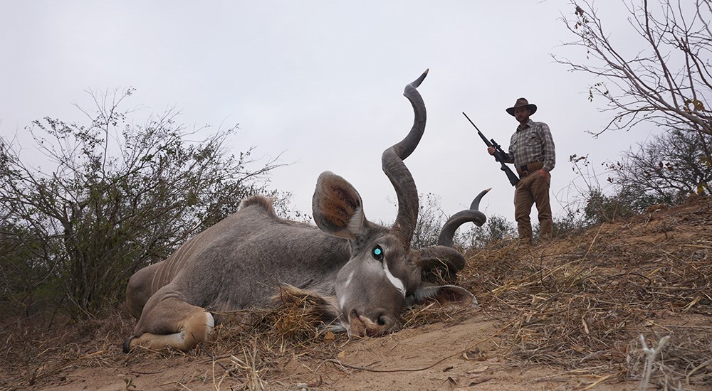 Hunter walking up to kudu on ground in Mozambique