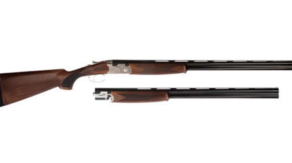 20121024152229-beretta_pigeon_f.jpg
