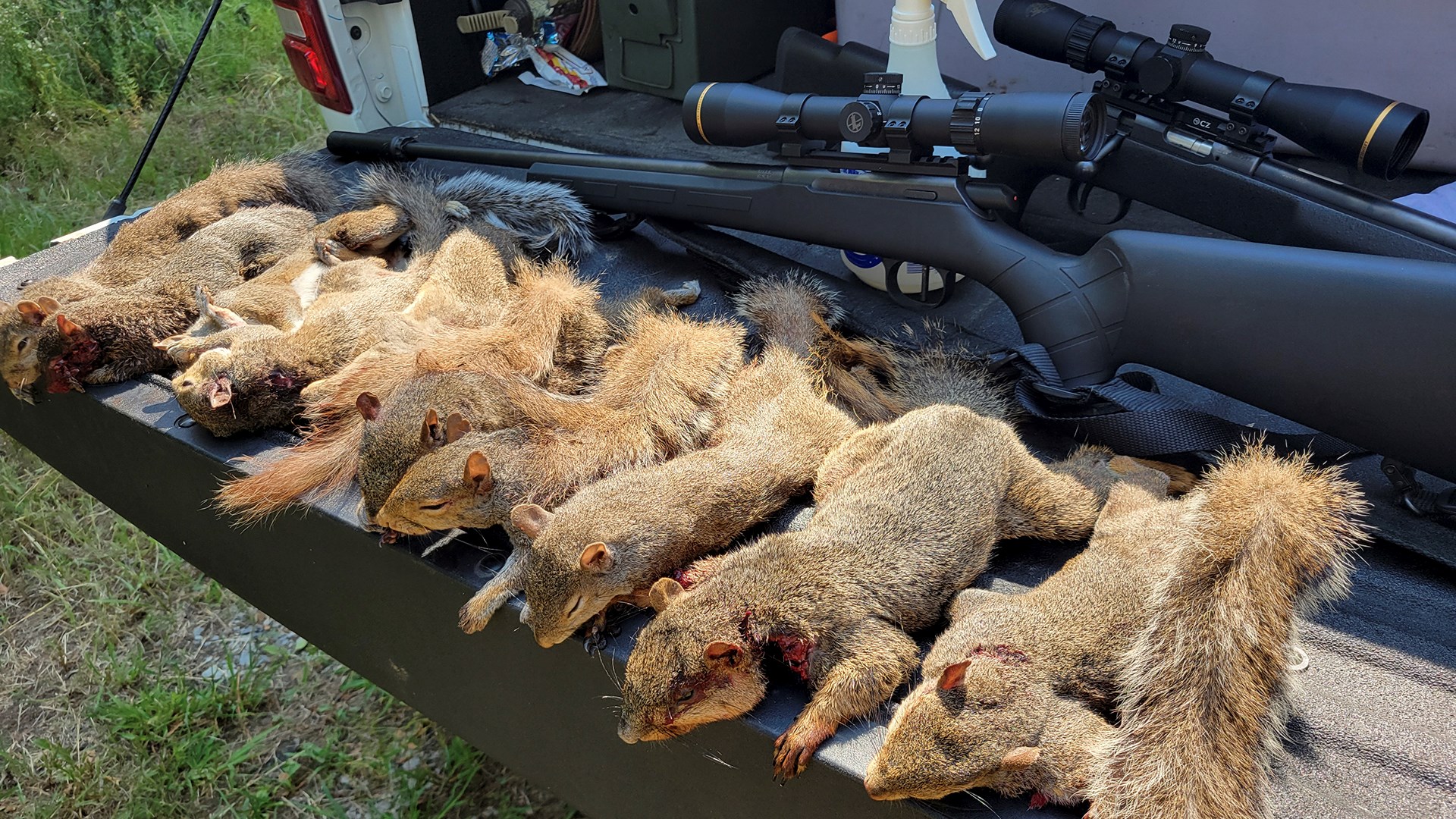 Marksmanship mastery