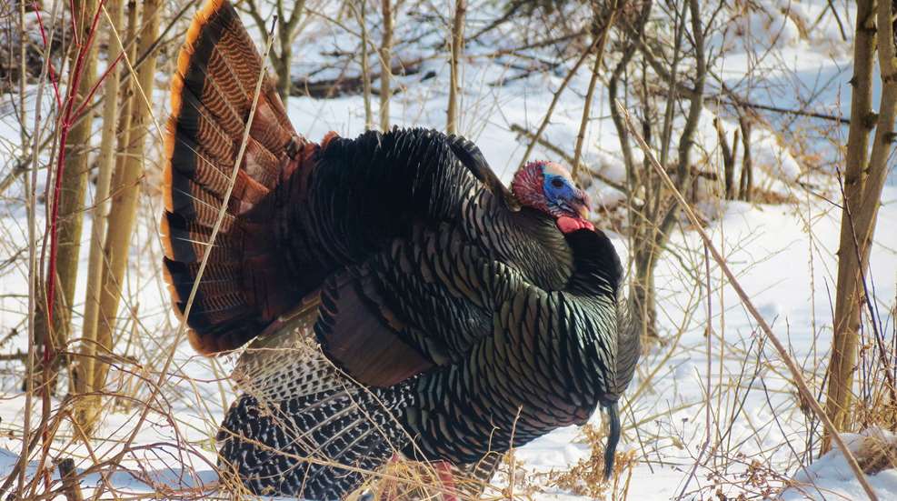 Main Image Of Eastern Turkey