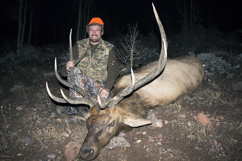 First Bull Elk