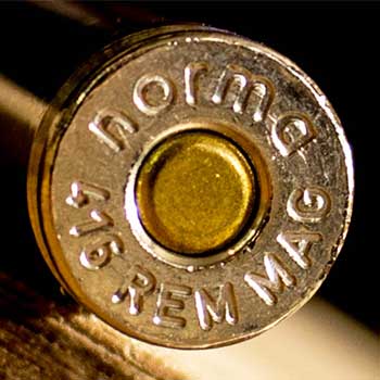 .416 Remington Norma Ammunition Casehead