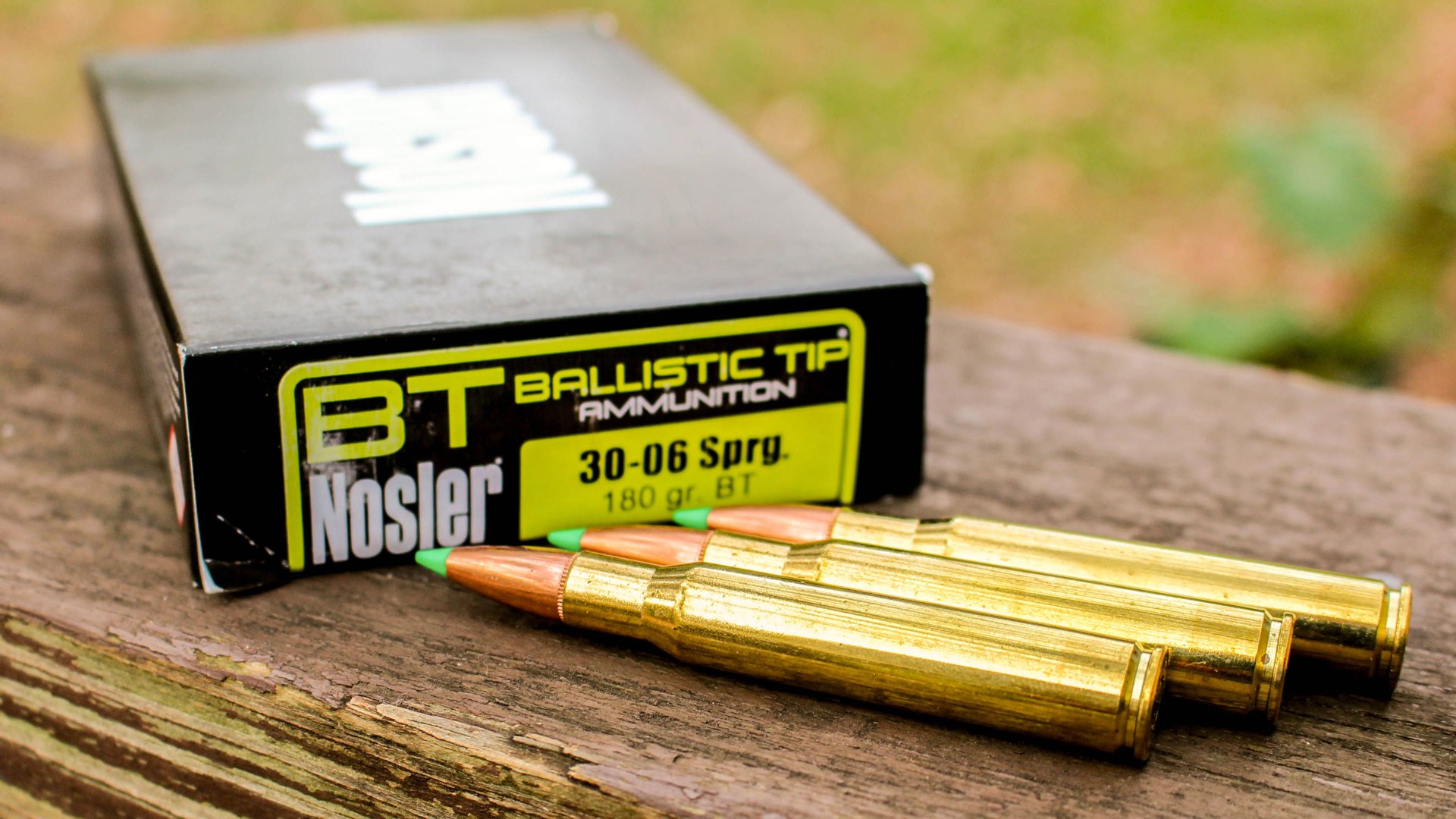 Nosler .30-06