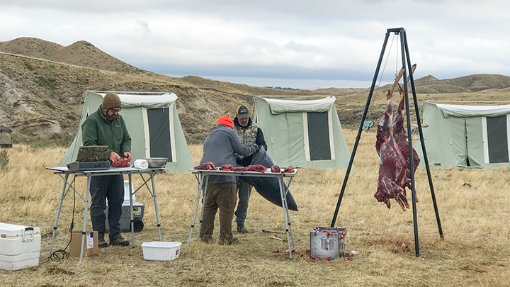 Hunters Butchering Pronghorn in Camp