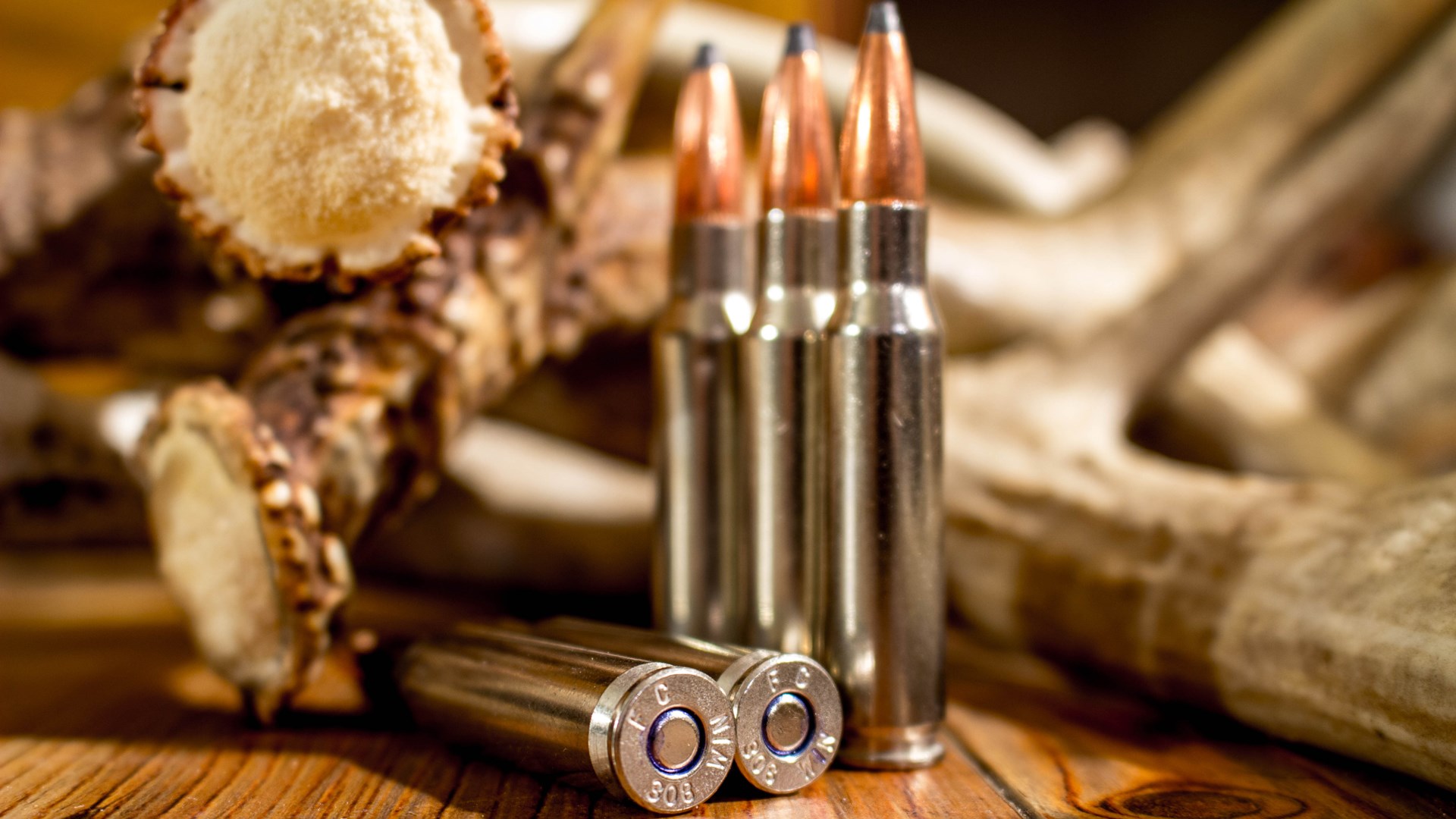 308 Winchester with headstamp