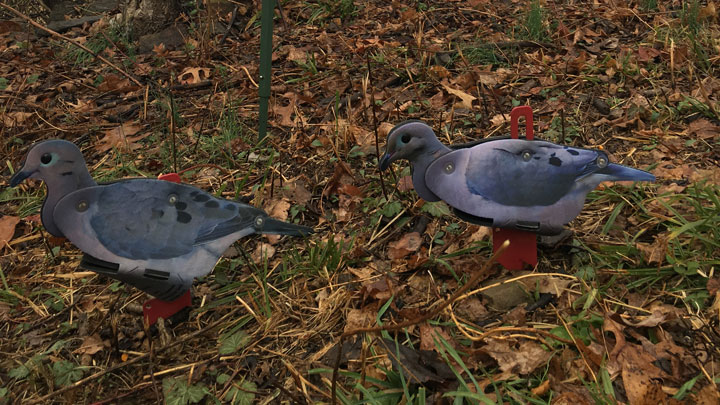 Ground decoys in dense woods