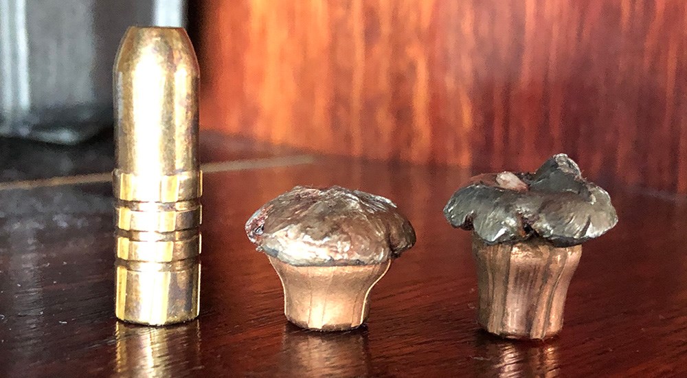 Recovered Bullet Mushroom