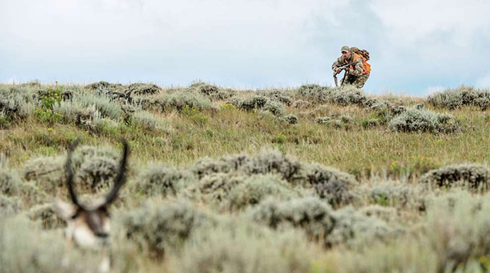 antelope_approach_f.jpg