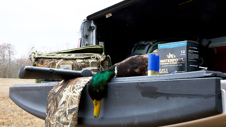 Apex Tungsten Ammunition with Mallard Duck in Back of Truck